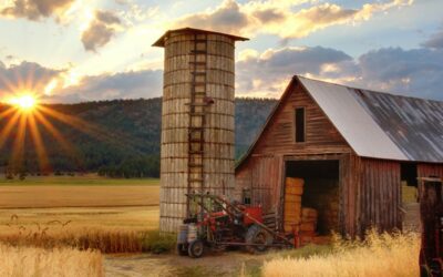Managing farm debt